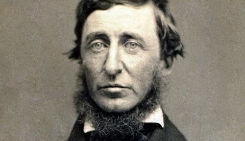 Henry David Thoreau / Wikipedia