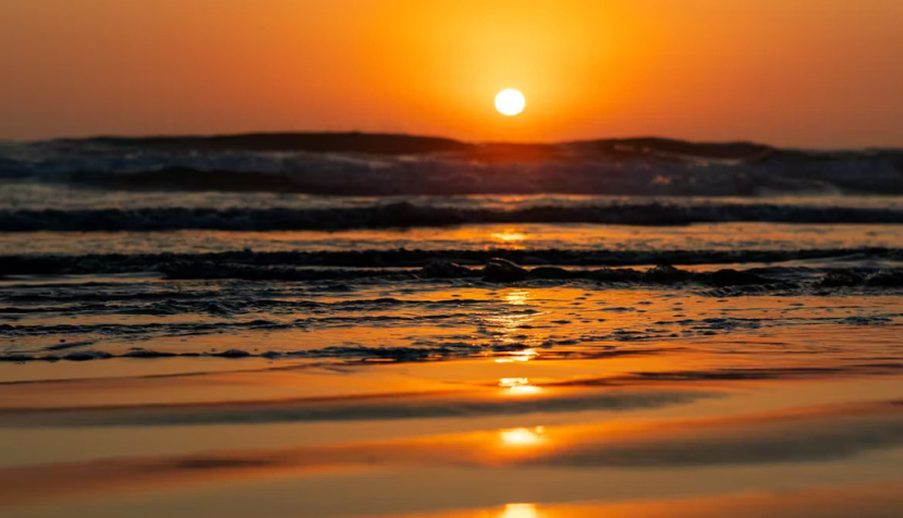 David Soraci/Shutterstock