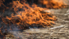2025 fue la temporada de incendios forestales más destructiva registrada en la UE