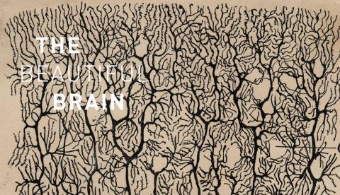 Santiago Ramón y Cajal: Un genio autodidacta de gran proyección internacional