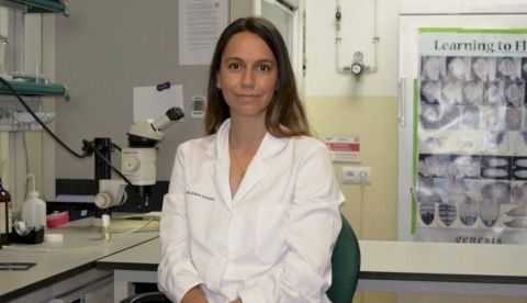 Imagen facilitada por el Instituto de Neurociencias de Alicante de la investigadora Isabel Adrados, promotora del #ProyectoCancerFree. EFE