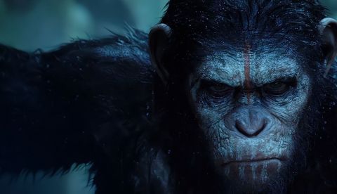 ¿Cuánto de azar tiene la evolución?