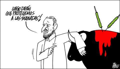 "VOX Y LAS MANADAS"
