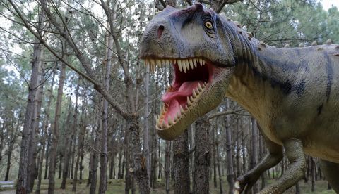 Un dinosaurio a tamaño real colocado en el Parque de los Dinosaurios de Lourinha en Portugal en febrero de 2018. EFE/Antonio Cotrim/Archivo