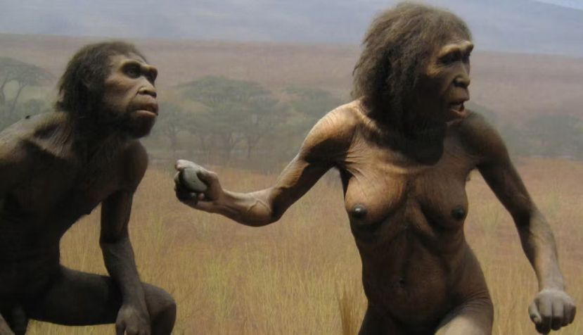 Wally Gobetz/NYC - AMNH, CC BY-NC