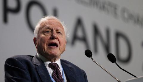 El naturalista británico David Attenborough. EFE/ ANDRZEJ GRYGIEL/Archivo