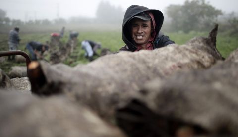 Impulsan el diálogo entre jóvenes de América y África sobre desarrollo agrícola