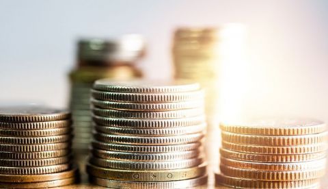 Revisiones económicas