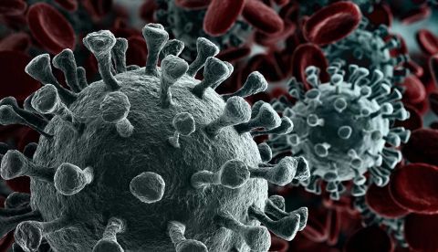 Mis errores en un año de pandemia