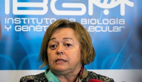 La presidenta del Consejo Superior de Investigaciones Científicas (CSIC), Rosa Menéndez, durante la visita realizada ayer al Instituto de Biología y Genética Molecular de Valladolid, en el que ha estado acompañada de por el rector de la UVA Rafael Daniel. EFE