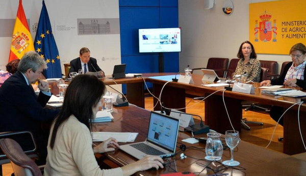 El ministro de Agricultura, Pesca y Alimentación, Luis Planas, presidiendo la reunión de la Conferencia Sectorial de Agricultura y Desarrollo Rural. / © lamoncloa.gob.es. Ministerio de la Presidencia.