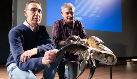Los restos de un gran dinosaurio hallados en La Rioja avalan una nueva especie