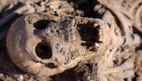 Las exhumaciones y su digestión