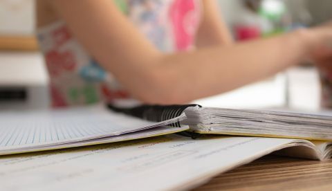 El nuevo currículo escolar: menos saberes enciclopédicos y más saber hacer