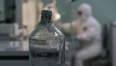 Una nueva herramienta informática saca a la luz 130.000 virus desconocidos