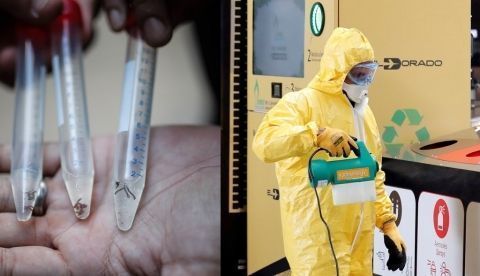 Combo de fotografías de archivo que muestran unas muestra con agua contaminada con larvas y la limpieza para prevenir la enfermedad del dengue.EFE