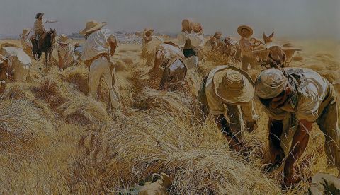 Listado de problemas de la agricultura española y propuestas de mejora de un afrancesado