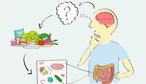 La diversidad de la microbiota de los TEA podría deberse a su alimentación