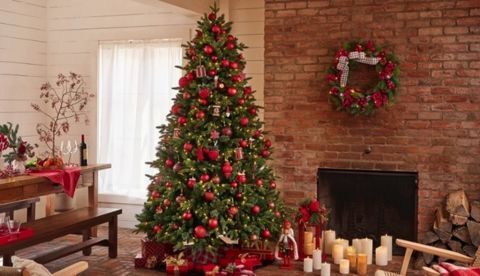 Cómo prolongar la (mala) vida del árbol de Navidad
