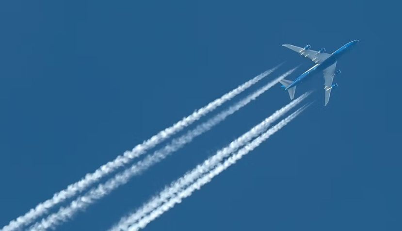 Peter Gudella / Shutterstock