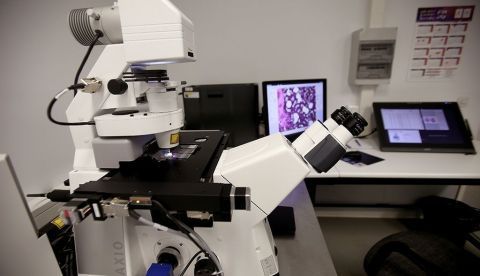 Imagen de archivo. El grupo del Centro de Investigación del Cáncer (CIC) de Cáncer, que dirige el doctor Isidro Sánchez, ha identificado uno de los desencadenantes de la leucemia linfoblástica aguda precursora de células B, un tipo de cáncer que afecta a niños y adolescentes y que es una enfermedad de muy mal pronóstico. EFE