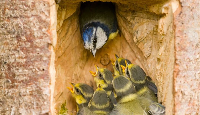 Paul Sawer/Shutterstock