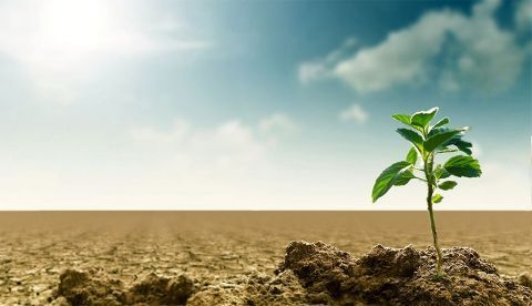 El Miteco presenta el primer programa de trabajo del Plan Nacional de Adaptación al Cambio Climático