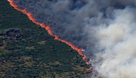 Un incendio forestal se extiende por las montañas cercanas a Burgohondo, en Ávila, el 27 de julio de 2026. Arafatmyt/Shutterstock