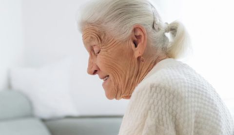  Standret/shutterstock