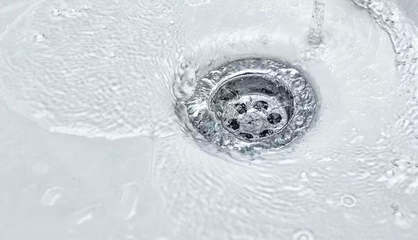 frantic00 / Shutterstock