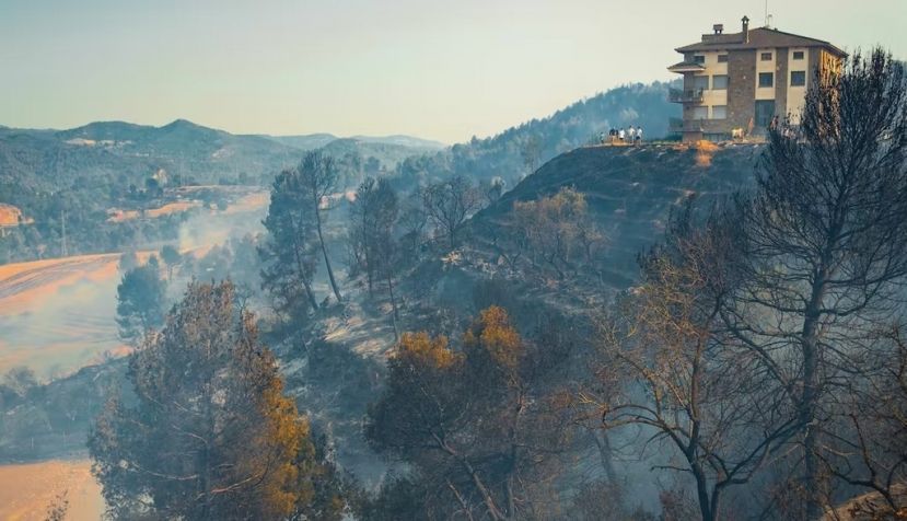 Paisaje en Manresa (Cataluña, España) tras un incendio en julio de 2022. Davide bonaldo / Shutterstock