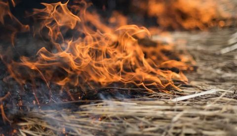 Impulsar el Pacto de Estado frente a la Emergencia Climática es clave para proteger a las personas y el territorio