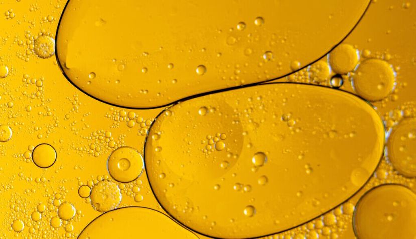  Noppadol Buaroey/Shutterstock
