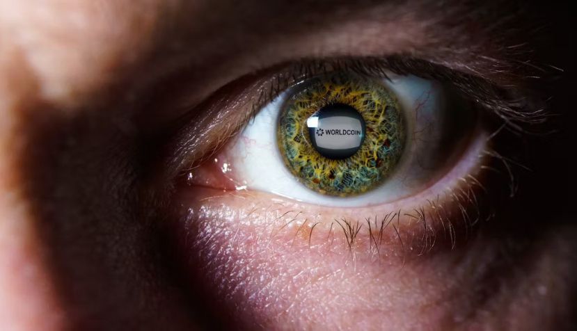 Rokas Tenys/Shutterstock