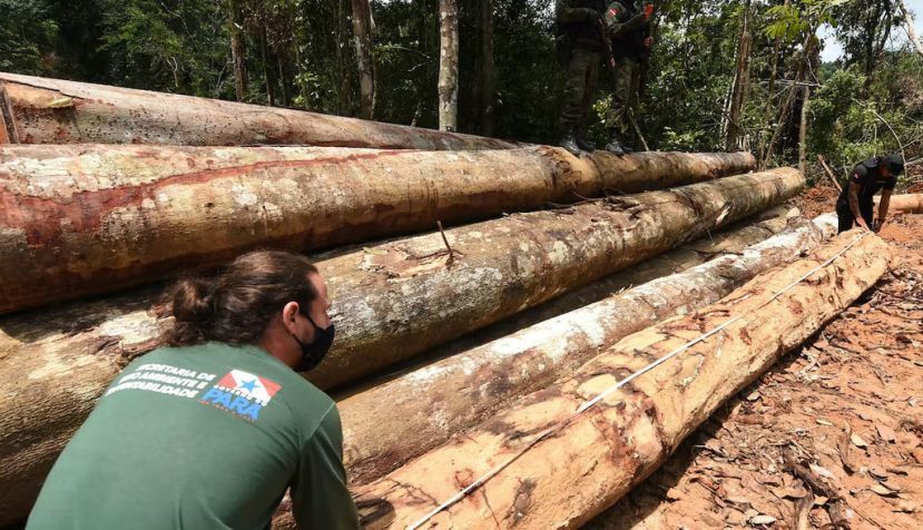 En septiembre de 2021, funcionarios del estado de Pará (norte de Brasil) inspeccionan una zona deforestada en la selva amazónica. Evaristo Sa / AFP