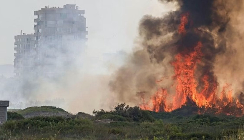 L'incendi a la Devesa del Saler d'agost de 2026. RTVE