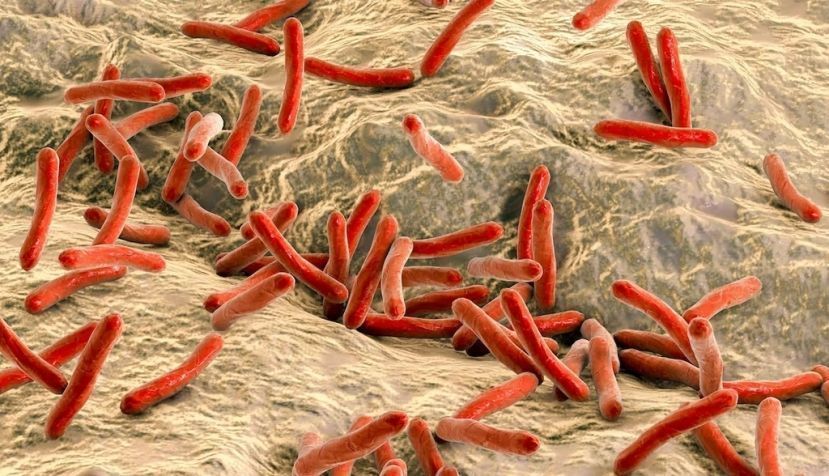 Ilustración de Mycobacterium leprae. Shutterstock / Kateryna Kon