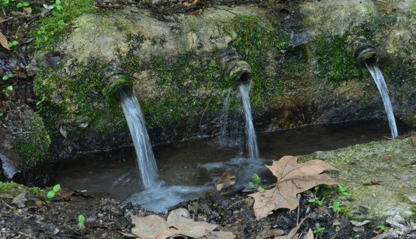 La contaminación de las aguas con restos de antibióticos es un motivo de preocupación en el ámbito de la salud humana y medioambiental. Josep Mas-Pla.