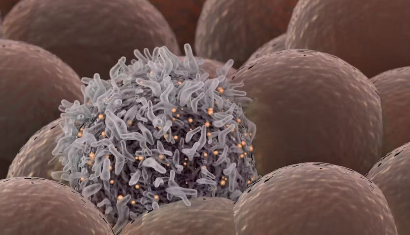 Una célula cancerosa entre células sanas. CI Photos / Shutterstock