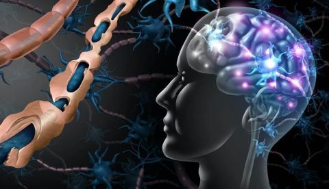 Expertos advierten de que el origen de la esclerosis sigue sin estar claro
