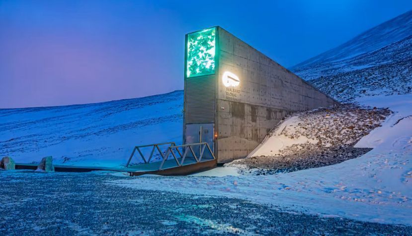 El Banco Mundial de Semillas de Svalbard es un almacén subterráneo situado en la isla de Spitsbergen, en el archipiélago noruego de Svalbard. Marcin Kadziolka / Shutterstock