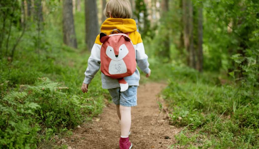  Niño caminando en la naturaleza. MNStudio/Shutterstock